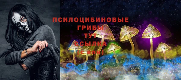 соль курить ск Горно-Алтайск