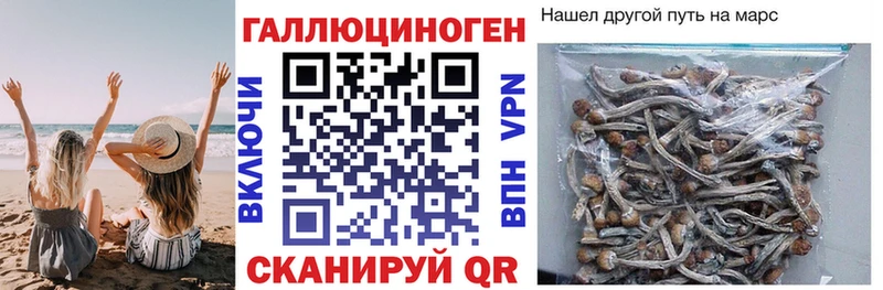 продажа наркотиков  Таганрог  Галлюциногенные грибы мухоморы 