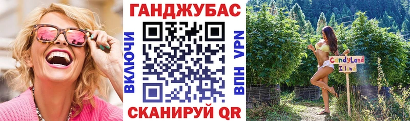 дарнет шоп  Таганрог  Каннабис сатива 